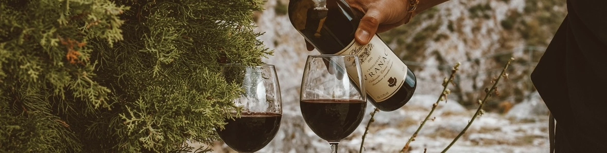 Une image de deux verres de vin rouge.